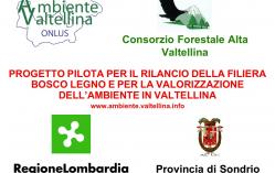 Progetto pilota per il rilancio della filiera bosco legno