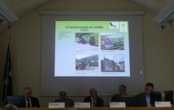 Intervento Rudini