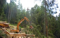 loc. Quadrada - sramatura e allestimento del legname