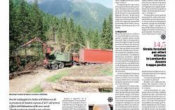articolo