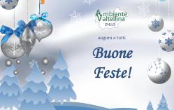 Auguri