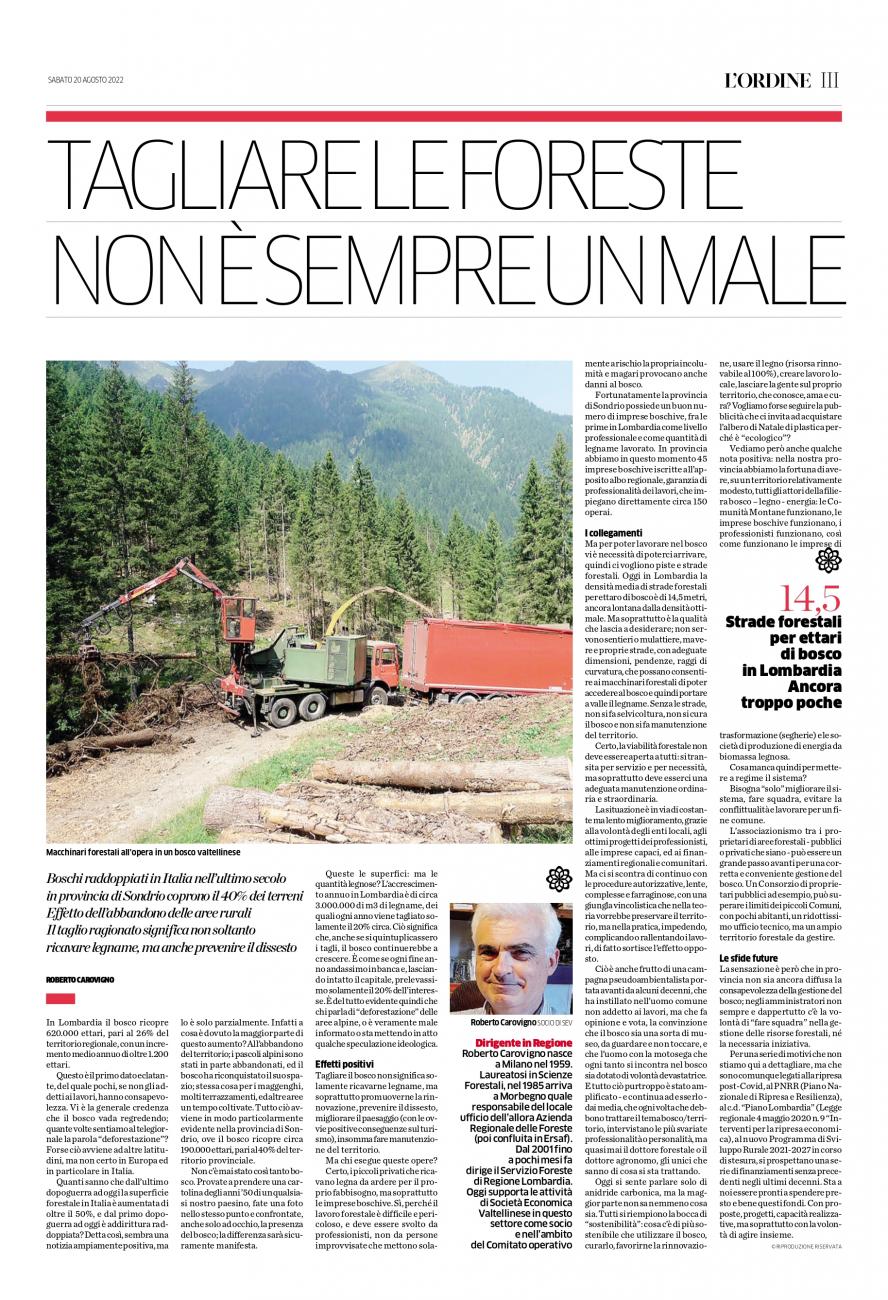articolo